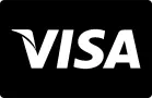 Visa Logo